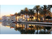 Terreno R�stico - Aradas, Aveiro, Aveiro - Miniatura: 2/9