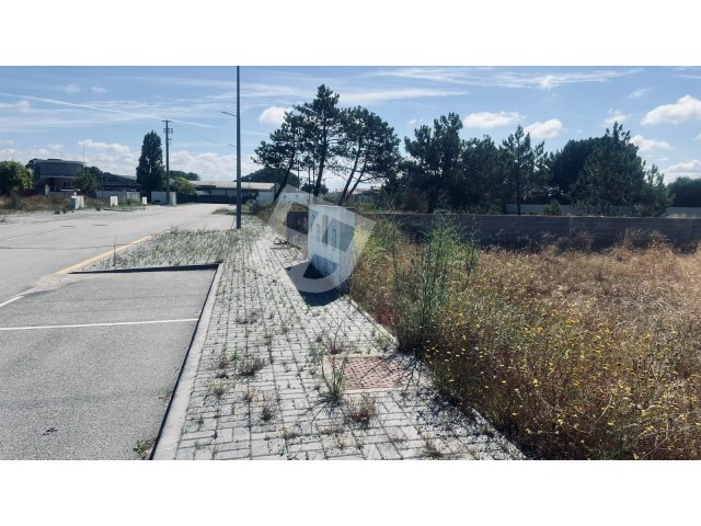 Terreno R�stico - S�o Salvador, �lhavo, Aveiro - Imagem grande