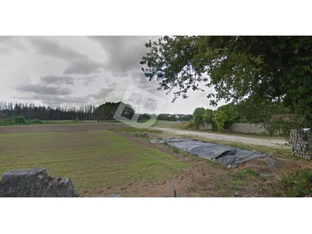 Terreno Rústico - Oliveirinha, Aveiro, Aveiro - Imagem grande