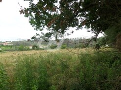 Terreno R�stico - REQUEIXO, NOSSA SENHORA DE F�TIMA E NARIZ, Aveiro, Aveiro