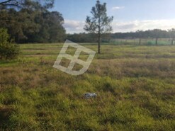 Terreno R�stico - Gafanha do Carmo, �lhavo, Aveiro