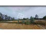 Terreno R�stico - Bedu�do, Estarreja, Aveiro - Miniatura: 2/9