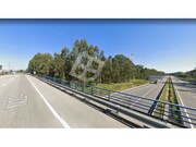 Terreno R�stico - Bedu�do, Estarreja, Aveiro - Miniatura: 5/9