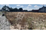 Terreno R�stico - S�o Salvador, �lhavo, Aveiro - Miniatura: 1/9