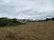 Terreno Rstico - REQUEIXO, NOSSA SENHORA DE FTIMA E NARIZ, Aveiro, Aveiro - Miniatura: 1/9