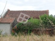 Terreno Rstico - REQUEIXO, NOSSA SENHORA DE FTIMA E NARIZ, Aveiro, Aveiro - Miniatura: 5/9