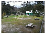 Terreno Rstico - Aradas, Aveiro, Aveiro - Miniatura: 9/9