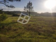 Terreno R�stico - Gafanha do Carmo, �lhavo, Aveiro - Miniatura: 1/9