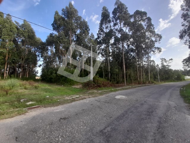 Terreno R�stico - Vagos, Vagos, Aveiro - Imagem grande