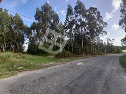Terreno R�stico - Vagos, Vagos, Aveiro