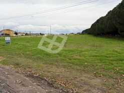 Terreno R�stico - S�o Salvador, �lhavo, Aveiro