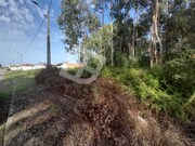 Terreno R�stico - Vagos, Vagos, Aveiro - Miniatura: 2/9