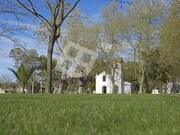 Terreno R�stico - Vagos, Vagos, Aveiro - Miniatura: 4/9