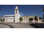 Terreno R�stico - Vagos, Vagos, Aveiro - Miniatura: 5/9