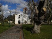 Terreno R�stico - Vagos, Vagos, Aveiro - Miniatura: 6/9