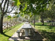 Terreno R�stico - Vagos, Vagos, Aveiro - Miniatura: 8/9