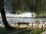 Terreno R�stico - Vagos, Vagos, Aveiro - Miniatura: 9/9