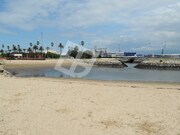 Terreno R�stico - Gafanha do Carmo, �lhavo, Aveiro - Miniatura: 2/9