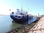 Terreno R�stico - Gafanha do Carmo, �lhavo, Aveiro - Miniatura: 3/9