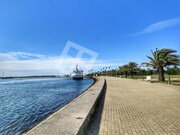 Terreno R�stico - Gafanha do Carmo, �lhavo, Aveiro - Miniatura: 9/9