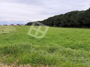 Terreno R�stico - S�o Salvador, �lhavo, Aveiro - Miniatura: 3/9