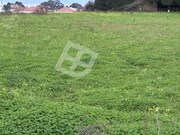 Terreno R�stico - S�o Salvador, �lhavo, Aveiro - Miniatura: 4/9