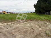 Terreno R�stico - S�o Salvador, �lhavo, Aveiro - Miniatura: 7/9