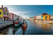 Terreno R�stico - S�o Salvador, �lhavo, Aveiro - Miniatura: 8/9