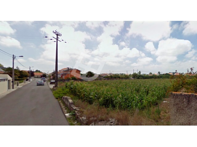 Terreno R�stico - Santa Joana, Aveiro, Aveiro - Imagem grande