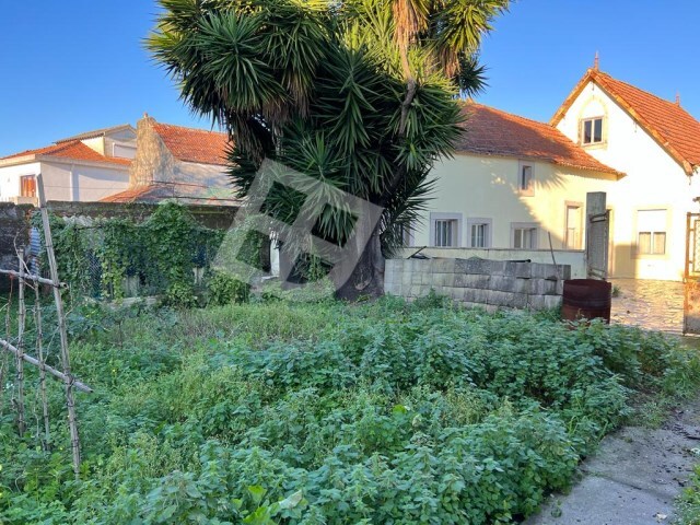 Moradia T4 - São Salvador, Ílhavo, Aveiro - Imagem grande