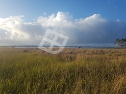 Terreno R�stico - Gafanha da Encarna��o, �lhavo, Aveiro