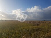 Terreno R�stico - Gafanha da Encarna��o, �lhavo, Aveiro - Miniatura: 2/9