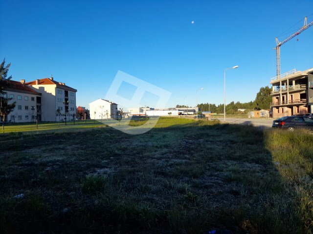 Terreno Rústico - Esgueira, Aveiro, Aveiro - Imagem grande