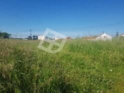 Terreno R�stico - Aradas, Aveiro, Aveiro