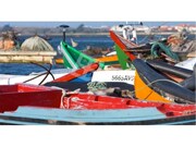 Terreno Rstico - So Salvador, lhavo, Aveiro - Miniatura: 7/9