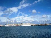 Terreno Rstico - So Salvador, lhavo, Aveiro - Miniatura: 8/9