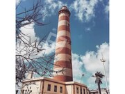 Terreno R�stico - Gafanha da Nazar�, �lhavo, Aveiro - Miniatura: 8/9