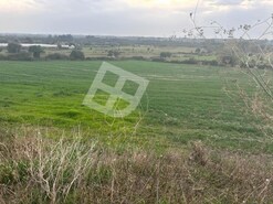 Terreno R�stico - Canelas, Estarreja, Aveiro