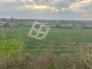 Terreno Rstico - Canelas, Estarreja, Aveiro - Miniatura: 1/5