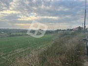 Terreno Rstico - Canelas, Estarreja, Aveiro - Miniatura: 3/5