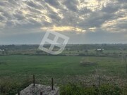 Terreno Rstico - Canelas, Estarreja, Aveiro - Miniatura: 4/5