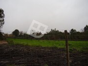 Terreno Rstico - Santa Joana, Aveiro, Aveiro - Miniatura: 3/6