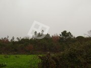 Terreno Rstico - Santa Joana, Aveiro, Aveiro - Miniatura: 4/6
