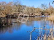 Terreno Rstico - Cacia, Aveiro, Aveiro - Miniatura: 8/9