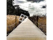 Apartamento T3 - Gl�ria, Aveiro, Aveiro - Miniatura: 8/9