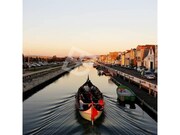 Apartamento T3 - Gl�ria, Aveiro, Aveiro - Miniatura: 8/9