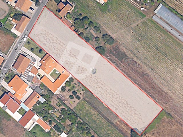Terreno Rústico - São Bernardo, Aveiro, Aveiro - Imagem grande