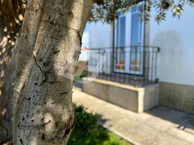 Moradia T6 - Gafanha da Encarnação, Ílhavo, Aveiro - Imagem grande