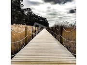 Terreno Rstico - Glria, Aveiro, Aveiro - Miniatura: 8/9
