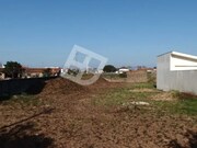 Terreno Rstico - So Bernardo, Aveiro, Aveiro - Miniatura: 1/9